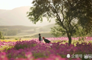 李强缔结邦务院令 宣告《邦务院合于实行〈中华苍生共和邦公公法〉注册血本挂号执掌轨制的法则》